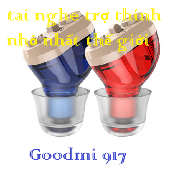 Tai nghe trợ thính đúc tai cao cấp Goodmi 917